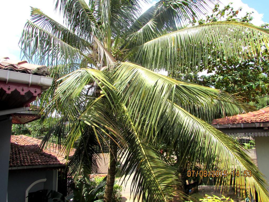 W Residence Kandy Exterior foto